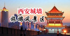 美女骚逼日本中国陕西-西安城墙旅游风景区